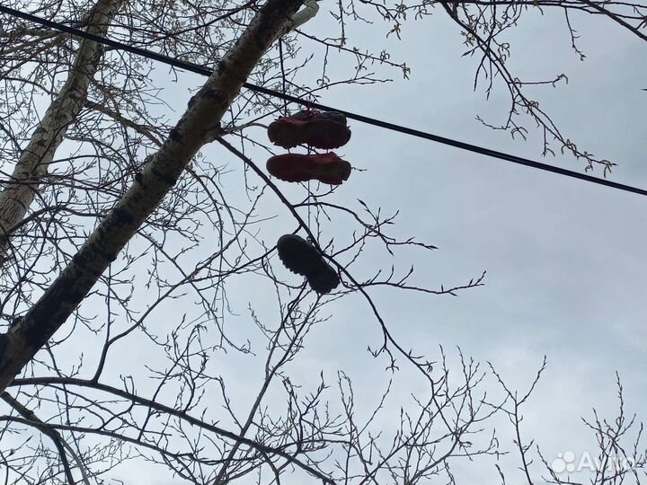 Кросовки понтовые