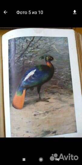 Книги старинные 