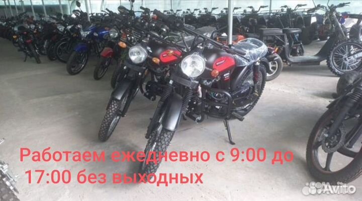 Vega KT 50 новые