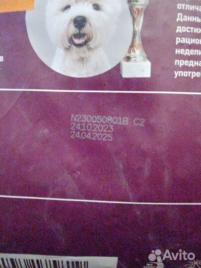 Сухой корм для собак award