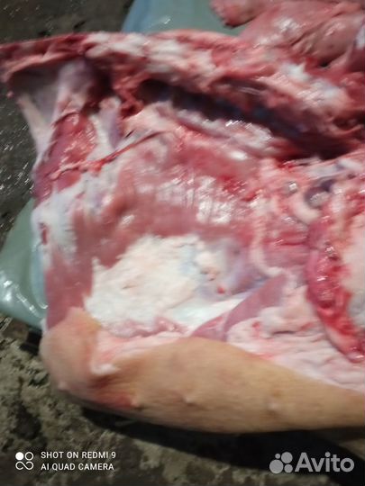 Мясо свинина домашняя