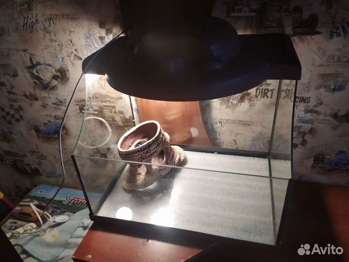 Аквариум черепашник