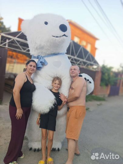 Белый Мишка Поздравление