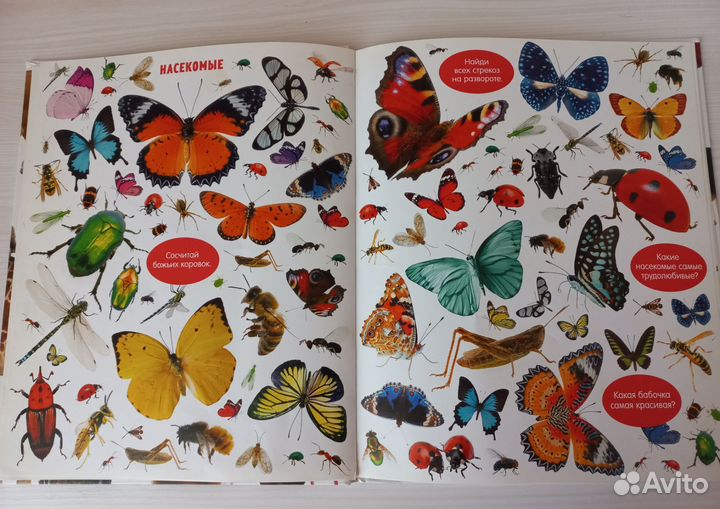 Большая книга малыша -животные от clever