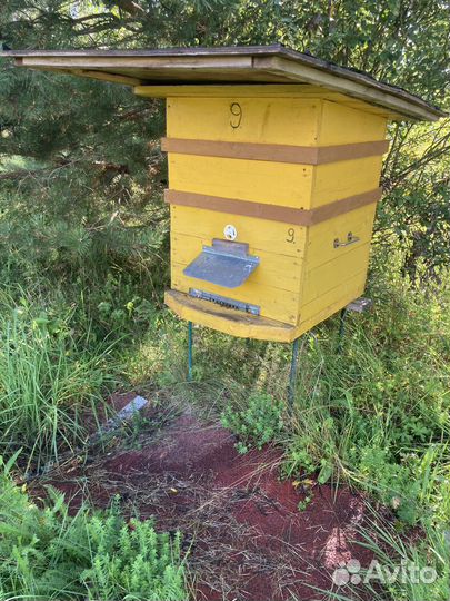 Ульи, пчелы и пчелиный инвентарь