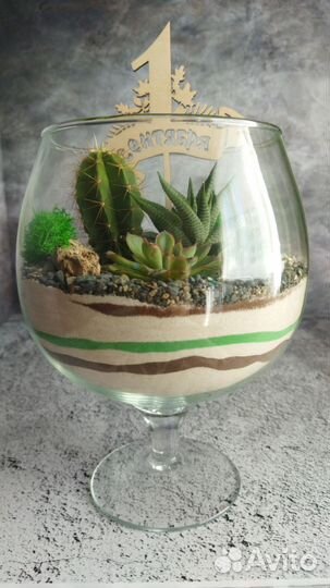 Флорариум в бокале 