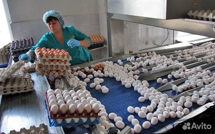 Упаковщик(ца) вахта