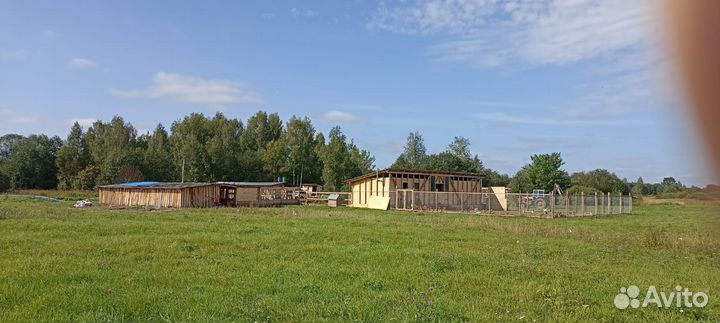 Продается Ферма