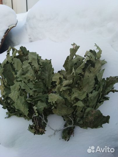 Веники Березовые и дубовые