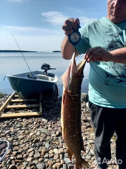 Рыбалка, грибные туры на озере Шотозеро и реке Шуе