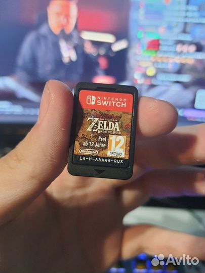 The Legend of Zelda: Breath of the Wild