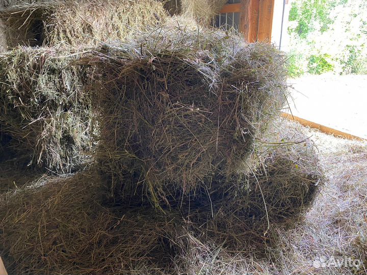 Сено в тюках 1 укос