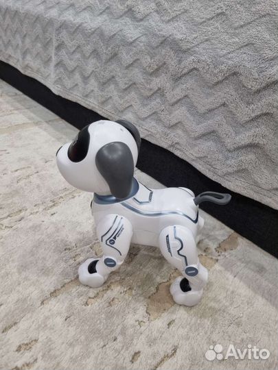 Робот собака на дистанционном управлении