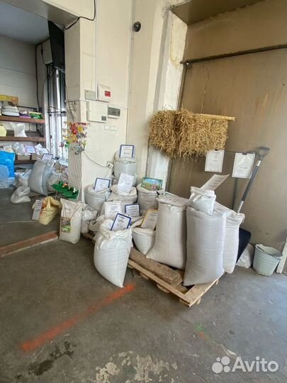 Семена горчицы 2 сорт