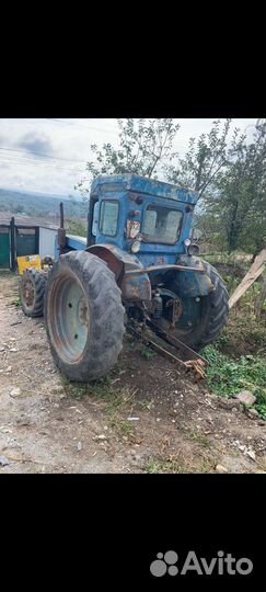 Трактор ЛТЗ Т-40, 1979