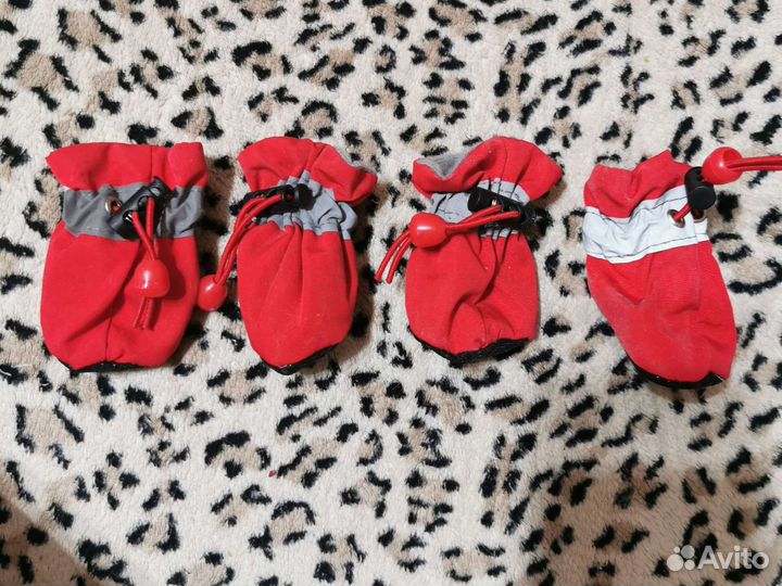 Обувь для собак