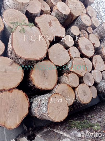 Береза, кругляк, фанкряж дорого