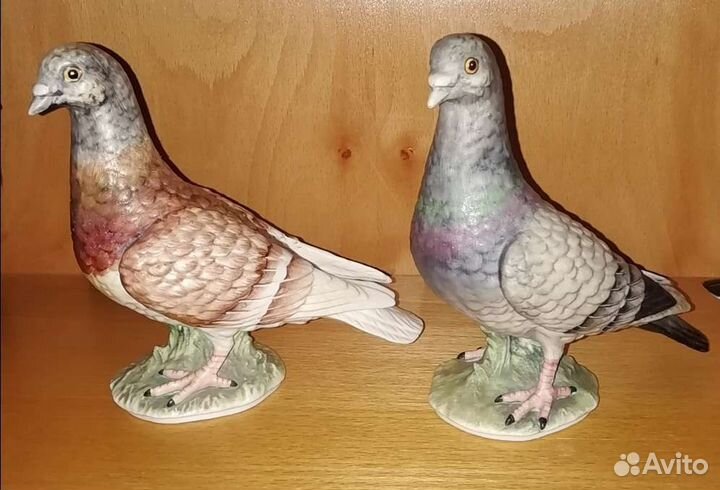 Почтовые Голуби. Большая коллекция