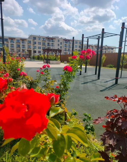 1-к. квартира, 41,2 м², 1/5 эт.