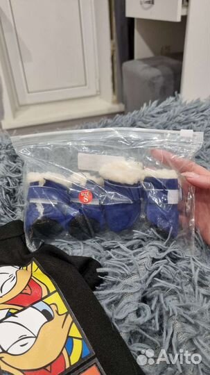 Ботинки для маленьких собак