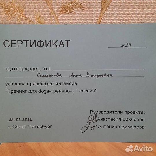 Дрессировка, воспитание коррекция поведения собак