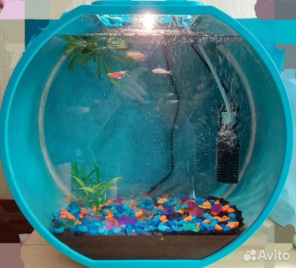 Аквариум 20л