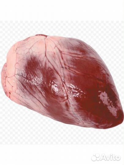 Почки говяжьи