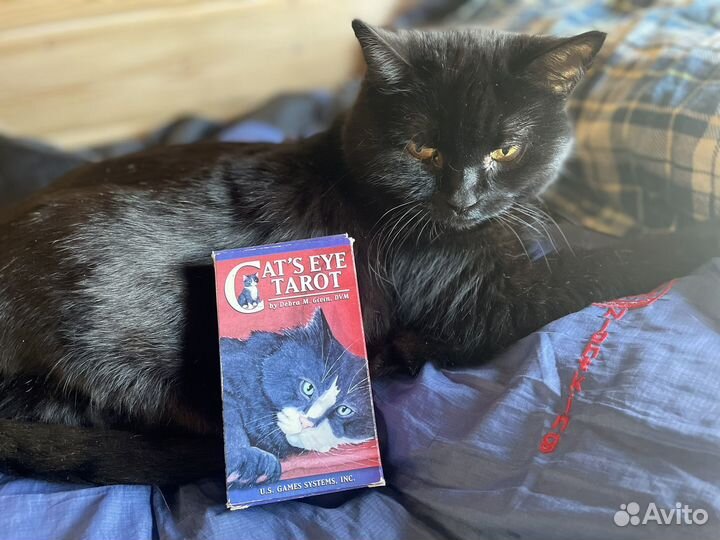 Уезжаю 13.06-10.07 Cat's eyes tarot, Италия