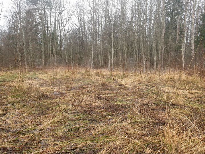 Участок 13 сот. (СНТ, ДНП)