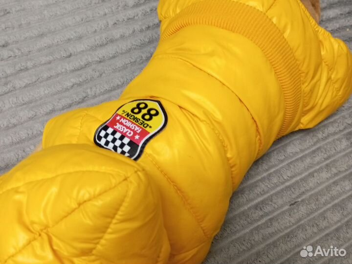 Костюм зимний для собак мелких пород