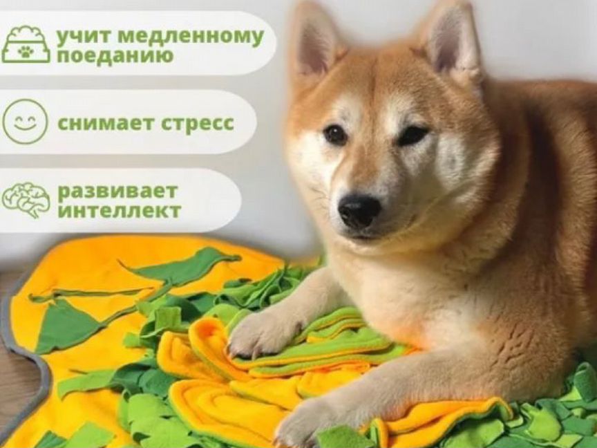 Нюхательный коврик для собак