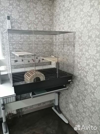 Клетка для шиншиллы бу