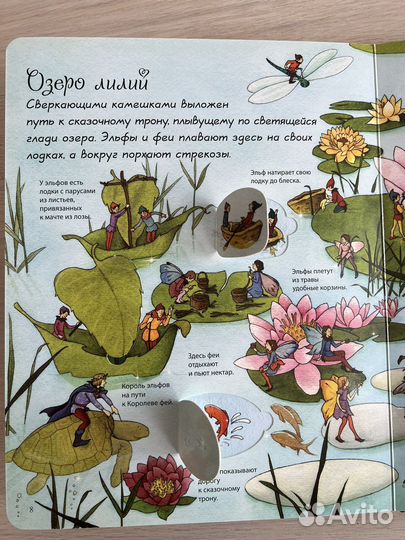 Книга Страна Фей (игра)