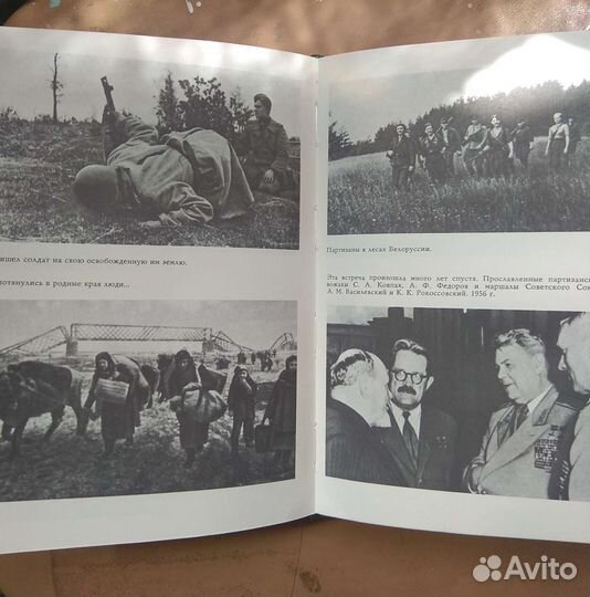 А. М. Василевский Дело всей жизни