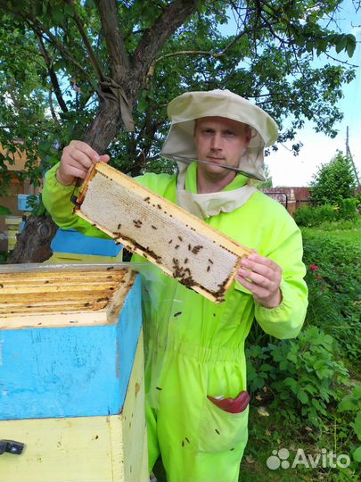 Мед с пасеки в Бежецком р-не