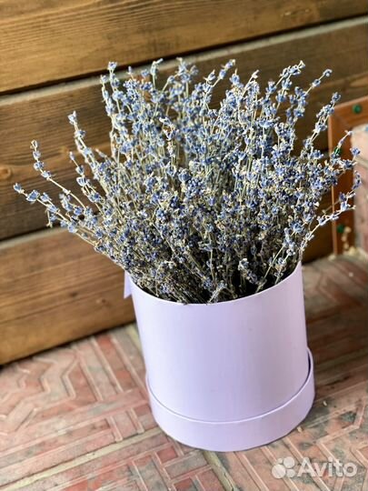 Цветы сухоцветы, колосья