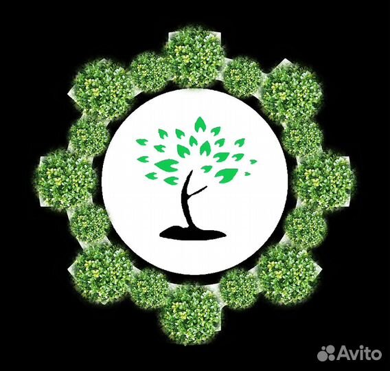 Ищем инвесторов в выгодный бизнес