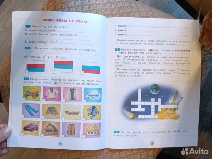 Рабочая тетрадь 2 класс по окружающему миру