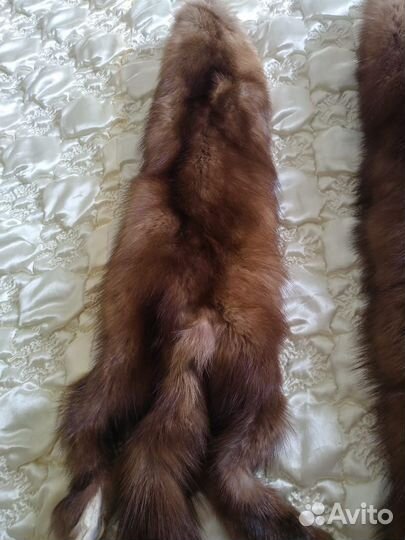 Шкурка животного лисы и соболя