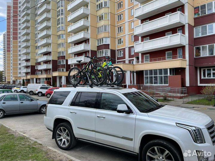 Автобокс для машины прокат