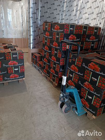 Помидоры томат