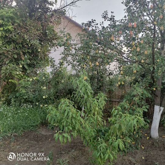 Дача 31,7 м² на участке 5 сот.