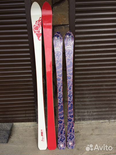 Горные лыжи