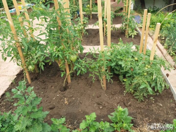 Опоры / колышки для сада и огорода / Вологда