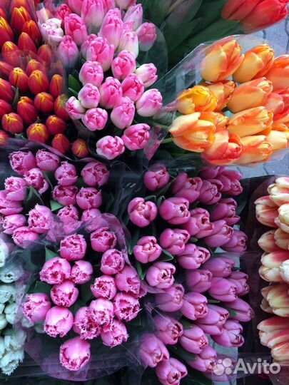 Тюльпаны к 8 марта