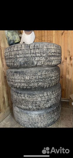 Dunlop Winter Maxx 215/65 R16 98T