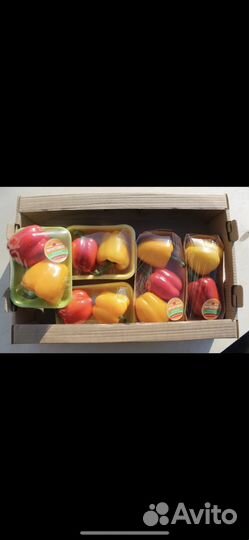 Картофель 18 рублей