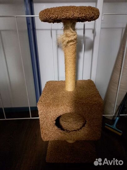 Когтеточка