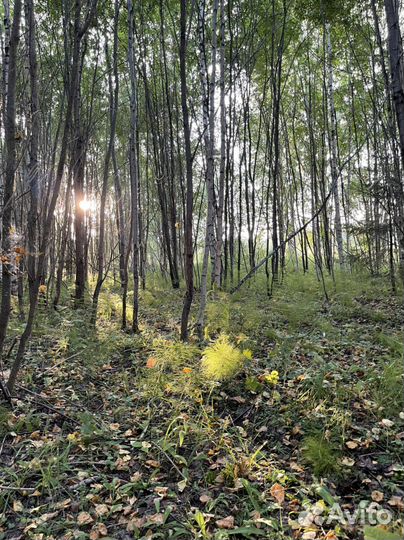 Егерь/рабочий в охотничье хозяйство