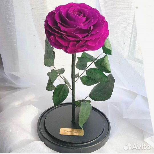 Роза в колбе. От производителя